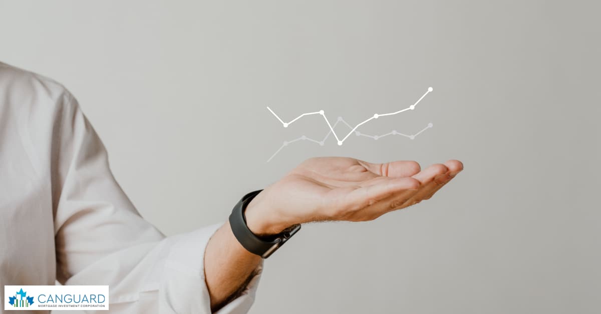 The Influence of Demographics on MIC Investments