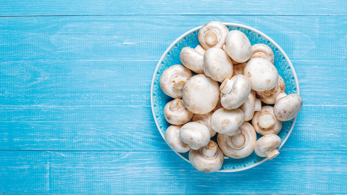 Fresh mushrooms, a way for skincare