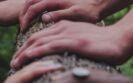 hands connected on tree