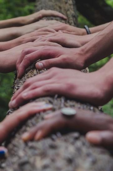 hands connected on tree